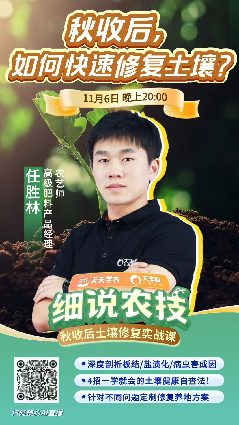 http://st-static1.wangnongcaoping.com/forums/2025/11/05/17623094603355.png