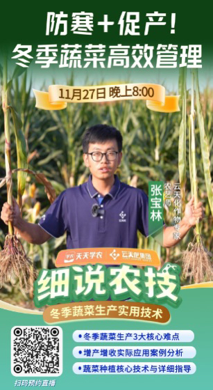 http://st-static1.wangnongcaoping.com/forums/2025/11/25/17640398113563.png
