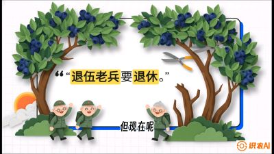 第7节：修剪决定产量（下）&mdash;&mdash;结果树的更新与疏果，课程：《蓝莓&ldquo;高产&rdquo;实战课：从选苗到丰收的10个关键点》