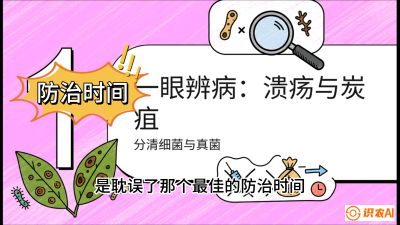 第三节：细菌与真菌&mdash;&mdash;溃疡病与炭疽病，课程：《柑橘十大病虫害：从入门到精通》