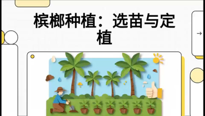第01节：选苗与定植&mdash;&mdash;&ldquo;苗好一半收，底肥定千秋&rdquo;课程：《槟榔种植：从不懂到精通的10堂必修课》