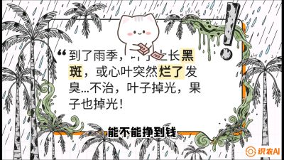 第05节：常见真菌病害&mdash;&mdash;&ldquo;炭疽与烂心，早防值千金&rdquo;《槟榔种植：从不懂到精通的10堂必修课》