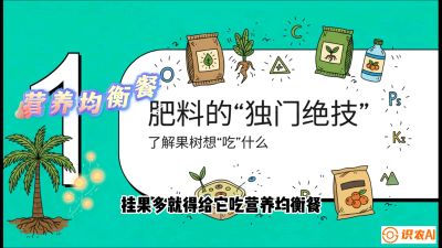 第07节：科学施肥&mdash;&mdash;&ldquo;氮磷钾配好，树壮果不倒