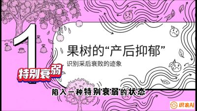 第2节：【冬肥策略】采后&ldquo;月子肥&rdquo;：大小年的精准干预术，课程：《柑橘底肥&ldquo;翻身账&rdquo;：从改土到高产的实战全书》