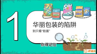 第4节：【黄金配方】底肥里的&ldquo;铁三角&rdquo;与&ldquo;微量雷区&rdquo;课程：《柑橘底肥&ldquo;翻身账&rdquo;：从改土到高产的实战全书》