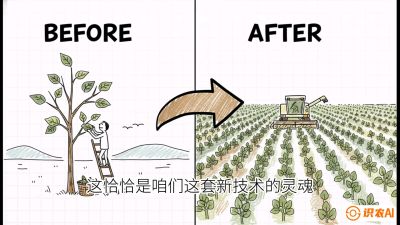 第02节：把树变成草&mdash;&mdash;&ldquo;草本化密植&rdquo;技术，课程：《桑海淘金：桑树高产与蚕桑安全进阶实战课》