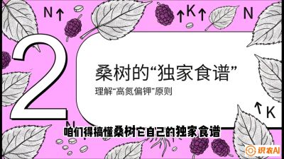 第04节：地下核动力&mdash;&mdash;桑树专用水肥一体化配方，课程：《桑海淘金：桑树高产与蚕桑安全进阶实战课》