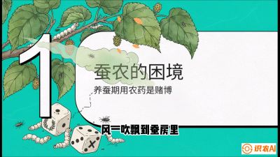 第06节：虫口夺叶（上）&mdash;&mdash;物理与生物防控绝技，课程《桑海淘金：桑树高产与蚕桑安全进阶实战课》