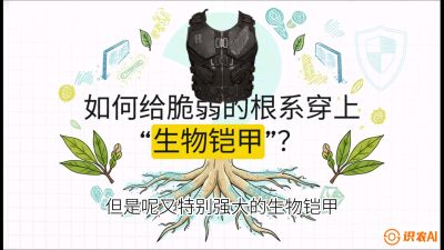 第三节：国产榴莲突围战：根系堡垒，菌根微生态构建与黄金定植窗口，课程：《国产榴莲突围战：从泰国经验到中国实操的8堂必修课（高阶实战版）》