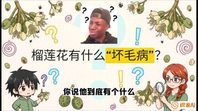 第六节：榴莲的午夜战事，夜间授粉战与花果期避雨策略，课程：《国产榴莲突围战：从泰国经验到中国实操的8堂必修课（高阶实战版）》