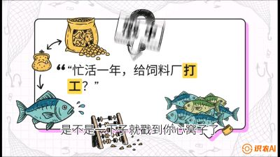 第一节：【选品与规划】如果不养&ldquo;四大家鱼&rdquo;，我们还能养什么？,课程：《黄金鳞甲：2025中国淡水鱼高效养殖实战营》