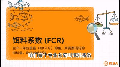 第五节：【高端单品&middot;鳜鱼】&ldquo;饲料鳜&rdquo;技术：打破吃活饵的高成本魔咒，课程：《黄金鳞甲：2025中国淡水鱼高效养殖实战营》