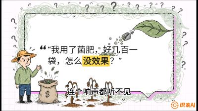第4节（活化篇）： 土壤里的&ldquo;雇佣兵&rdquo;&mdash;&mdash;如何用菌剂以小博大，解决死棵难题，课程：《揭秘土壤的秘密：让土地帮你赚钱》#识农AI