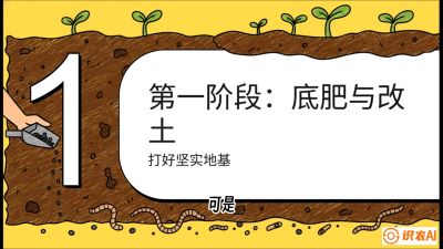 第6节（统筹篇）： 省钱又增产的&ldquo;黄金配比&rdquo;&mdash;&mdash;不同作物全年的养土实操方案，课程：《揭秘土壤的秘密：让土地帮你赚钱》#识农AI