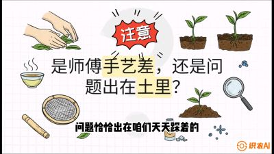 第02节（土肥篇）：告别&ldquo;苦涩水味&rdquo;：揭秘&ldquo;碳氮比&rdquo;调控术，种出自带兰花香的好茶底，课程：《茶金时代：从&ldquo;看天吃饭&rdquo;到&ldquo;精准控局&rdquo;的茶叶高产提质实战课》