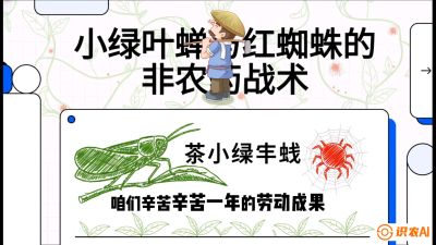 第03节（虫害篇）：看不见的吸血鬼：小绿叶蝉与红蜘蛛的&ldquo;非农药&rdquo;团灭战术（抗性治理），课程：《茶金时代：从&ldquo;看天吃饭&rdquo;到&ldquo;精准控局&rdquo;的茶叶高产提质实战课》
