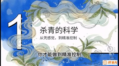 第05节（加工篇）：决胜2分钟：用&ldquo;数字温控&rdquo;破解杀青不匀，复刻大师级手工口感，课程：《茶金时代：从&ldquo;看天吃饭&rdquo;到&ldquo;精准控局&rdquo;的茶叶高产提质实战课》