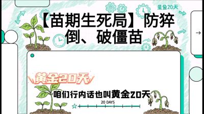 第2节：【苗期生死局】防猝倒、破僵苗，决定后期产量的&ldquo;黄金20天&rdquo;，课程：《辣椒种植实战特训营，从工业辣椒到精品小米辣，教你如何把&ldquo;草&rdquo;种成&ldquo;金&rdquo;》