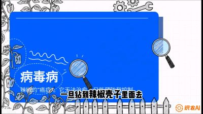 第5节：【病毒病阻击】辣椒的&ldquo;癌症&rdquo;怎么治？从&ldquo;绝收恐慌&rdquo;到&ldquo;带毒生产&rdquo;的逆转术，课程：《辣椒种植实战特训营，从工业辣椒到精品小米辣，教你如何把&ldquo;草&rdquo;种成&ldquo;金&rdquo;》