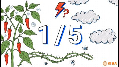 第6节：【花果爆发术】落花落果的五大元凶，与&ldquo;三喷一保&rdquo;坐果黑科技，课程：《辣椒种植实战特训营，从工业辣椒到精品小米辣，教你如何把&ldquo;草&rdquo;种成&ldquo;金&rdquo;》