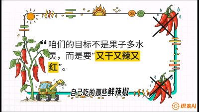 第7节：【工业辣椒专场】追求极致辣度！干物质提升与机械化采收的&ldquo;催红秘籍&rdquo;，课程：《辣椒种植实战特训营，从工业辣椒到精品小米辣，教你如何把&ldquo;草&rdquo;种成&ldquo;金&rdquo;》