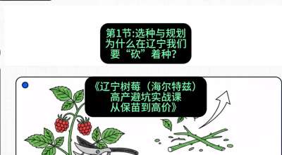 第一节： 选种与规划&mdash;&mdash;为什么在辽宁我们要&ldquo;砍&rdquo;着种？，课程：《辽宁树莓（海尔特兹）高产避坑实战课：从保苗到高价》