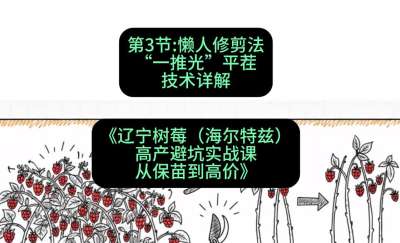 第三节： 懒人修剪法&mdash;&mdash;&ldquo;一推光&rdquo;平茬技术详解，课程：《辽宁树莓（海尔特兹）高产避坑实战课：从保苗到高价》