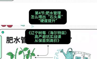 第四节： 肥水管理&mdash;&mdash;怎么喂出&ldquo;石头果&rdquo;（硬度提升），课程：《辽宁树莓（海尔特兹）高产避坑实战课：从保苗到高价》