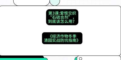 第3节：【核武药剂】爱恨交织的&ldquo;石硫合剂&rdquo;，到底该怎么用？，课程：《经济作物冬季清园&middot;实战防坑指南》#识农AI