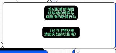 第6节：【葡萄清园】绒球期的博弈与画眉虫的&ldquo;斩首行动&rdquo;，课程：《经济作物冬季清园&middot;实战防坑指南》#识农AI