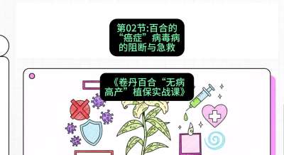 第02节：百合的&ldquo;癌症&rdquo;&mdash;&mdash;病毒病的阻断与急救，课程：《卷丹百合&ldquo;无病高产&rdquo;植保实战课》#识农AI