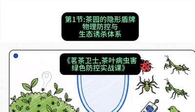 第01节：茶园的&ldquo;隐形盾牌&rdquo;&mdash;&mdash;物理防控与生态诱杀体系，课程：《茗茶卫士&mdash;&mdash;茶叶病虫害绿色防控实战课》#识农AI