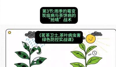第03节：雨季的霉变&mdash;&mdash;炭疽病与茶饼病的&ldquo;抢晴&rdquo;战术，课程：《茗茶卫士&mdash;&mdash;茶叶病虫害绿色防控实战课》#识农AI