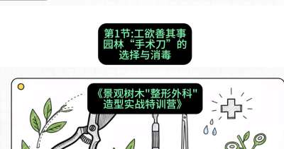 第01节：工欲善其事&mdash;&mdash;园林&ldquo;手术刀&rdquo;的选择与消毒，课程：《景观树木&ldquo;整形外科&rdquo;造型实战特训营》#识农AI