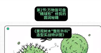 第02节：万物皆可盘&mdash;&mdash;&ldquo;精球形&rdquo;修剪的圆润秘籍，课程：《景观树木&ldquo;整形外科&rdquo;造型实战特训营》#识农AI
