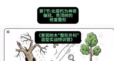 第07节：化腐朽为神奇&mdash;&mdash;偏冠、秃顶树的修复整形，课程：《景观树木&ldquo;整形外科&rdquo;造型实战特训营》#识农AI