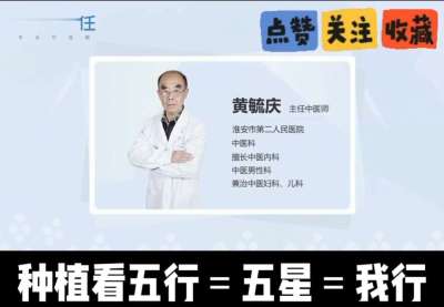 中药材淫羊藿怎么种？听专家一次讲明白！不挑地块好管理，耐寒耐旱省心省力，新手也能轻松上手，药用价值高、市场需求稳，妥妥的增收好品种～ 从生长习性到采收要点，干货满满无废话，种植疑问直接问，一对一答疑解