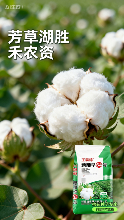 新疆棉花澳棉种业王霸棉，还有其它都好