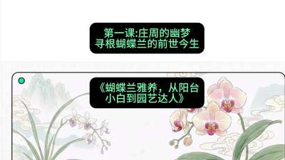 第一节：庄周的幽梦：寻根蝴蝶兰的前世今生，课程：《蝴蝶兰雅养六讲：从阳台小白到园艺达人》#识农AI
