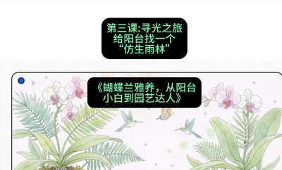 第三节：寻光之旅：给阳台找一个&ldquo;仿生雨林&rdquo;，课程：《蝴蝶兰雅养六讲：从阳台小白到园艺达人》#识农AI
