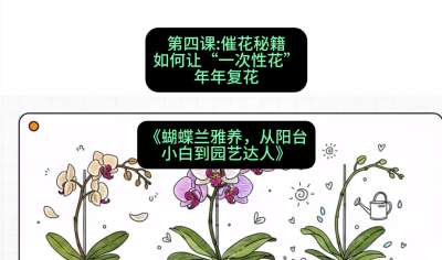 第四节：催花秘籍：如何让&ldquo;一次性花&rdquo;年年复花，课程：《蝴蝶兰雅养六讲：从阳台小白到园艺达人》#识农AI