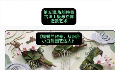 第五节：脱胎换骨：古法上板与立体造景艺术，课程：《蝴蝶兰雅养六讲：从阳台小白到园艺达人》#识农AI