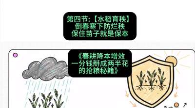 第四节：【水稻育秧】倒春寒下防烂秧，保住苗子就是保本