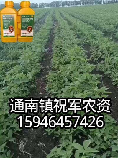 大豆苗前封闭，可封红根苋菜，灰菜，兰花菜，野豆子，捞豆秧等恶性杂草，封杀兼备的高端产品。