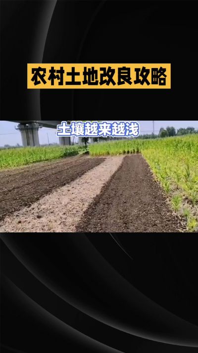 1. 先搞懂：你到底要改良哪块地、种什么
 
- 土土土在哪里？
就是你自家农田、菜地、果园，哪块地想种庄稼，就测哪块地的土。
​
- 有水没有水？
有水能浇：改良更省事，施肥、调酸碱都好操作。
没水