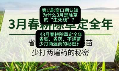 第1节：窗口期认知，为什么3月是除草的&ldquo;生死线&rdquo;？，课程：《3月春耕除草定全年：省钱、省药、不烧苗、少打两遍药的秘密》